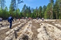 Газовики присоединились к международной акции «Сад памяти»