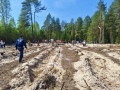 Газовики присоединились к международной акции «Сад памяти»
