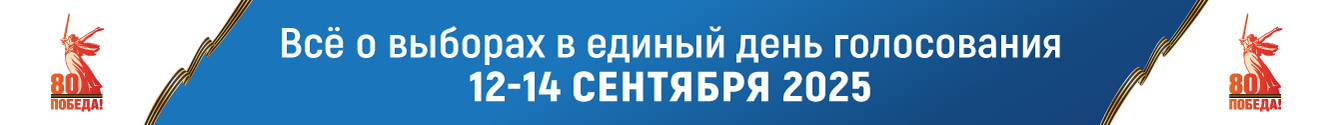 Выборы 2025